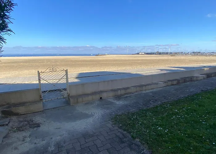 T2, Vue Superbe - 4 Pers. - Fr-1-374-244 Appartement Arcachon